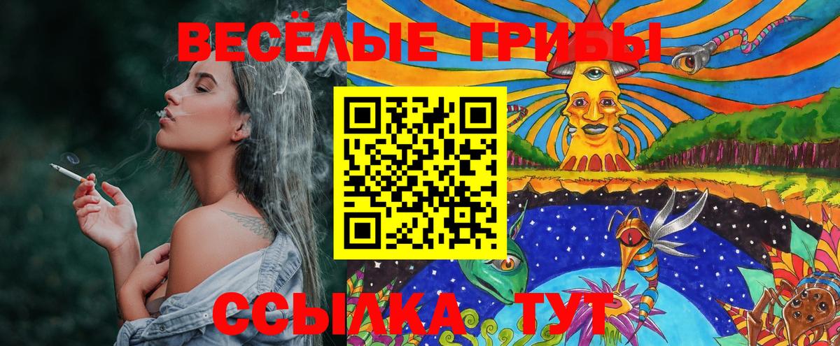 Галлюциногенные грибы Psilocybine cubensis  что такое   Лангепас  Вход с VPN  Галлюциногенные грибы прущие грибы 