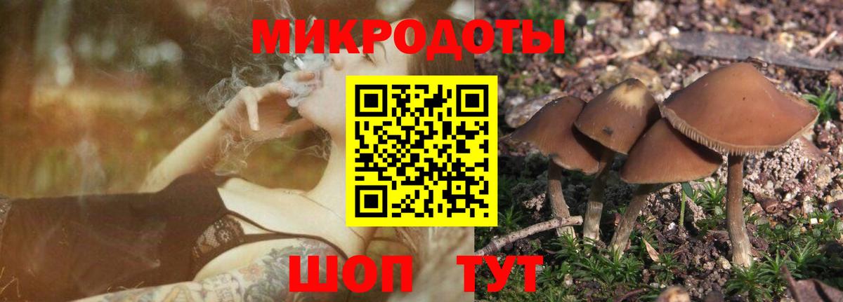 Галлюциногенные грибы прущие грибы Лангепас
